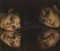 ctphoto3.gif