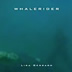 Whale Rider